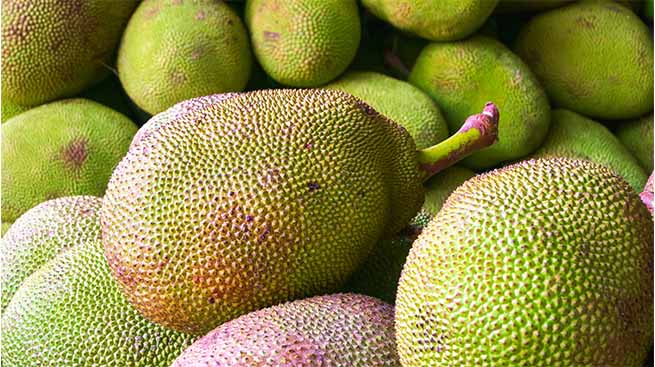 Jackfruit